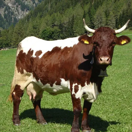 Farmház Wielandhof Mariapfarr